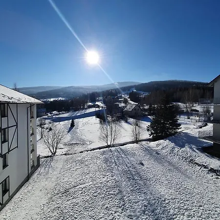 Апартаменты Wlochatka Z Sauna Finska *